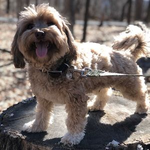 Meet your Posher, Jonathan